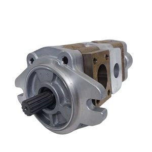 SD1 Hydraulic Gear Pump SD32.32L856 SD36.23L029 SD36.32L477 SD36.36L728 SD44.32L903hydraulic Gear Pumps