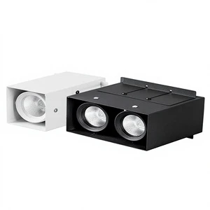 LED Square Tube Dedicated Canopy Light Single Double-Head COB Commercial Store Aluminum Ceiling Grille Bold Downlight 4000K