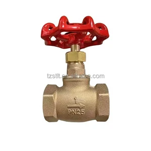 Brass Globe Valve 1/2inch 1inch NPT Female Connect with Steel Handle