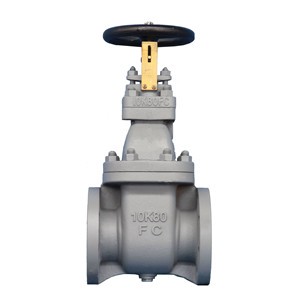Marine JIS Cast Iron Gate Valve F7363 F7364 F7369