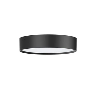 Led outdoor ceiling light/IP65 IK08
