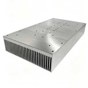 Custom 6063 T5 Aluminum LED Heatsink 120(W)*36(H)*215(L)mm 100W High Power LED Light Heatsink