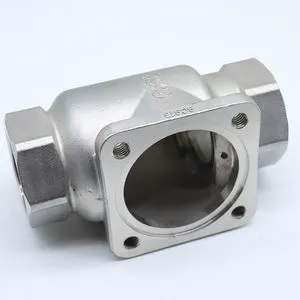 (OEM ODM) 310 Stainless Steel Spring Loaded Check Valve Body Thread with Mounting Base