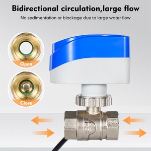 Custom Logo OEM IP68 Brass Electric Actuator Ball Valve 3-Way NPT Connection CE RoHS Certified Motorized Water Valve PTFE 200
