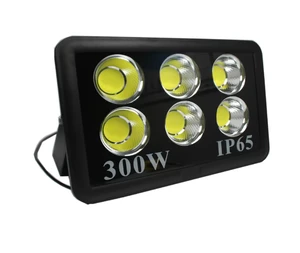 10W 20W 30W 50W 100W 150W 300w 400w 500w 600w 1000w Explosion Proof Led Flood Light Outdoor Lighting