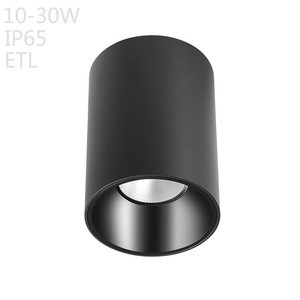15 Years Gold CETL ETL Listed Supplier IP65 1000lm Surface Mounted LED Downlight 10W 90mm Aluminum Supermarket Contemporary
