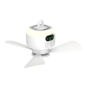2024 Outdoor Ready Rechargeable LED Ceiling Fan with Detachable Light and Timed Control