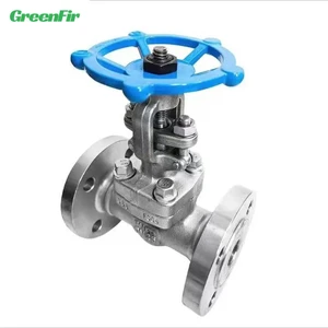 ASME Steel High Pressure Globe Valve