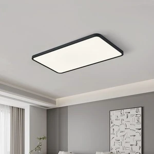 Italian Minimalist Ultra-Thin Acrylic LED Ceiling Light Voice/Sensor Control Full Spectrum Eye-Care Flush Mount for Living Room
