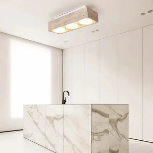 9W LED Ceiling Light for Outdoor Villa Courtyard Waterproof IP44 for Family Doorway Corridor Bedroom Decoration Surface Mounted