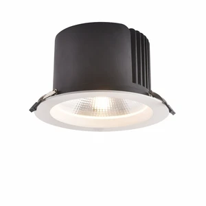 Cut Hole 215mm 60W 80W High Power Recessed Downlight LED Adjust Overhead Hotel Lighting High Lumen Ceiling Recessed Downlight