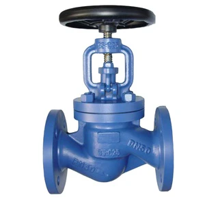 Steam Globe Valve