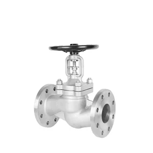 DIN Stainless Steel Bellows Globe Valve for Industrial Fluid Control
