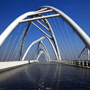 Steel Structure Factory Large Span Galvanized Steel Structure Bridge Overbridge Elevator Steel Truss Pedestrian Bridge