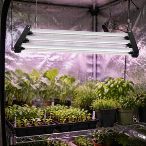Full Spectrum Foldable Professional LED Culture Lamp-off Than Than In The Year-to-end Lm301 Lm281B Lm561C 630w 800w 1000w