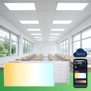 Smart for Adjustable Dimmable IP44 Rated 5-Year Warranty LED Panel Light for Home Office