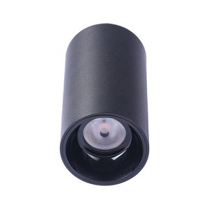 Customizable Aluminum Outdoor Waterproof Hanging LED Wall Light with 10/15/20/30W Options Modern Design Dimmable