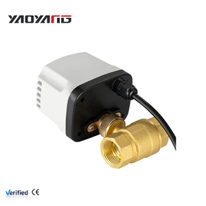 1/2 Inch IP65 Waterproof Type 2-Wire Normally Closed AC220VDC12-24V Brass Electric Ball Replacement Irrigation Valve Water