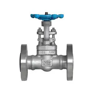 Industrial Cast Steel Globe Valve 150-2500LB High Pressure Steam Globe Valve for Oil Gas