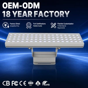 Commercial Complex Facade Bridge Side Lighting IP65 AC85-265V 60W High Lumen Single Color Rectangular Floodlight TWZ60-M1-C1