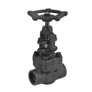 High Temperature API ANSI 150-800LB 304 316 Stainless Steel A105 1.6-10mpa Manual Forged Socket Welded Globe Valve