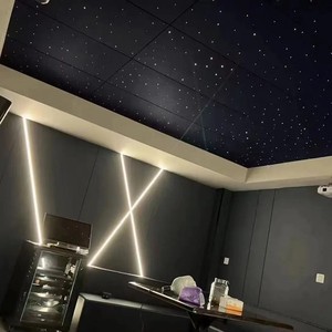 Master Acoustic Sky Light 3D Painting Polyester Sound Absorbing LED Optical Fiber Ceiling Acoustic Panels Light