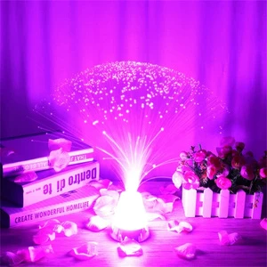 Beautiful Romantic Color LED Fiber Optic Nightlight Lamp Small Night Light Party Home Decoration