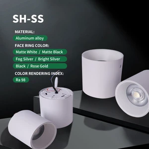 Modern Design Light Luxury Design Indoor Commercial Surface-mounted Cylindrical Spotlight LED Downlight
