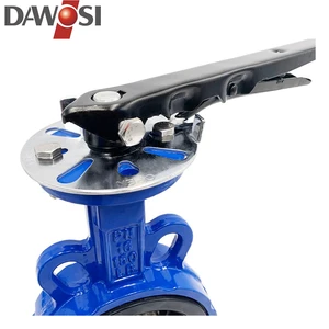 Ductile Iron Manual Wafer Butterfly Valve for Water Multi-Standard Body Professional Use 2-12