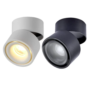 Commercial Hotel Rotatable Shop Spot Light LED 7W 10W Indoor IP44 Adjustable Surface Mount COB Led Downlight 12W
