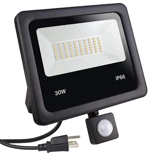 30W IP66 White/RGB High Frequency Flood Led Light