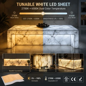RAYMATES OEM/ODM Cuttable High Density CCT Adjustable LED Backlight Sheet CRI90 Flexible Led Sheet Panel Light