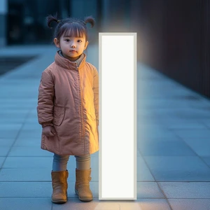 Led Panel Light 1200mm X 300mm 300x1500 60x60cm Square Large Led Panel Light 600*600