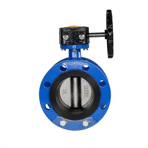 High Quality Manual Worm Gear Ductile Iron Stainless Steel 304 316 Flange Butterfly Valve for Base
