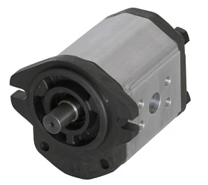 Factory Direct Wholesale 2.6 Series 6ml/r--44ml/r Hydraulic Gear Pump for Motor