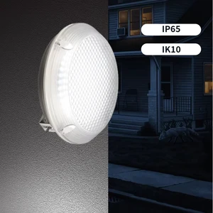 IP65 IK10 Waterproof 30W Explosion-Proof LED Canopy Light Aluminum Casting Tri-proof Industrial Tunnel Lighting for Gas Station