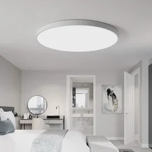 Modern Nordic ABS Plastic Shell LED Ceiling Lamp Light Color-Changing Brightness Adjustment for Living Room Surface Installation