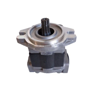 ZHENYUAN High Pressure SGP SGP1A30R634 SGP1A32A1HH1-L057C Hydraulic Gear Pump with Low Price