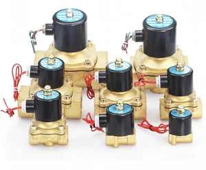 Alahot 2W Electric Brass 12v 24v 220V 1 2 3 Inch Solenoid Valve For Water Control Two Way Magnetic Water Solenoid Valve
