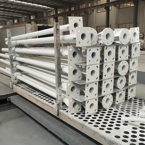 Manufacturer Customized Hot-dip Galvanized Street Lamp Post Solar Street Lamp Post with 100WLED for Road Lighting and Garden
