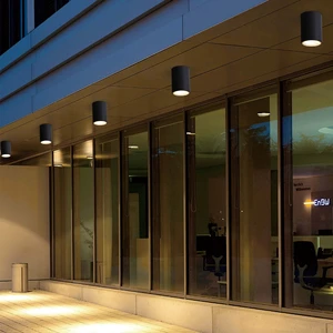 Classic IP65 Outdoor LED Ceiling Light for Garden Cylindrical Design with Aluminum Base
