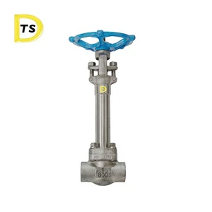Cryogenic Pneumatic Globe Valve Stop Valve with Long Stem Stainless Steel Low Temperature Globe Valve