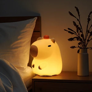 New Style Sleep Night Light Baby Room Led Light Night Lamp Sleep Led Desk Lamp BPA-Free Rechargeable Baby Night Light