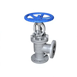 Angle Type Globe Valve for Water Application Manual Shutoff Control OEM Customizable