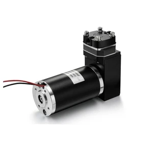 Fluidsmart High Pressure Micro Air Compressor Pump 12v/24v Brush Pump Stainless Steel Piston Pump ARP12DC12