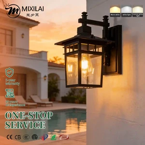 New Item Retro Outdoor Wall Lantern IP65 Waterproof 12W LED bulb Dimmable Metal Exterior Wall Sconces for Garage Pool Fence