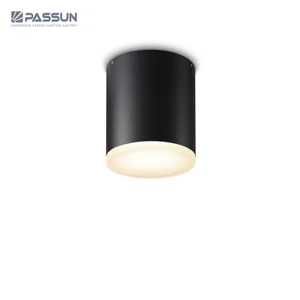 Outdoor Hotel Home Black Acrylic Aluminum IP65 Waterproof Ceiling Downlight Exterior Garden Surface Mounted Led Ceiling Light