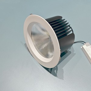 8 Inch 9 Inch 230mm Round Recessed LED Downlight 60W 80W Modern Die Casting Aluminum Housing White COB Chip Spotlight Lighting