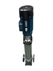OEM Customized Wholesale Excellent Hydraulic Efficiency Vertical Multistage Pump for Sludge Transportation