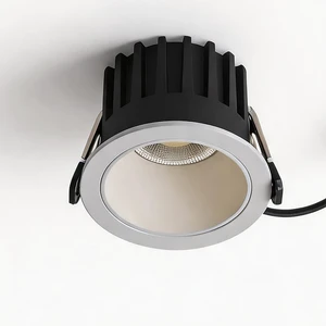 Aisilan High Power 10w 20w 30w Hotel Home Bedroom Living Room Dimmable Anti Glare Led Cob Down Light Recessed